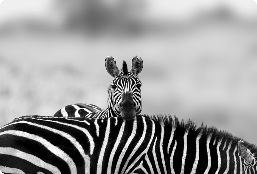Blog Thumbnail
